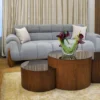 Catia-living-room-04 انتريه مورانو | سمارت روم