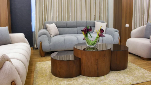Catia-living-room-04 انتريه مورانو | سمارت روم